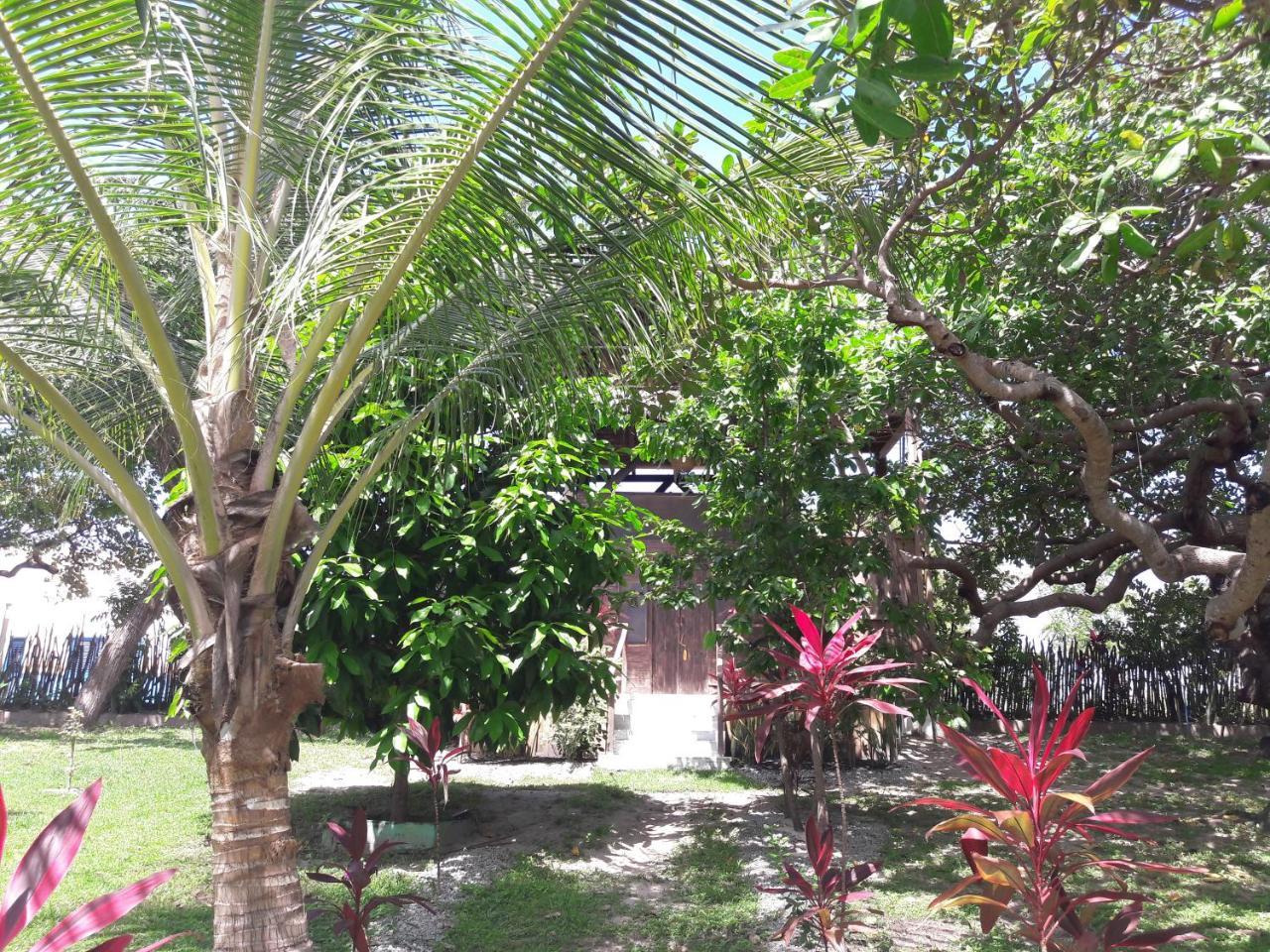 Ciamat Camp Hotell Santo Amaro do Maranhao Eksteriør bilde